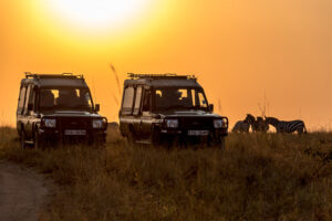 Africa safari tour
