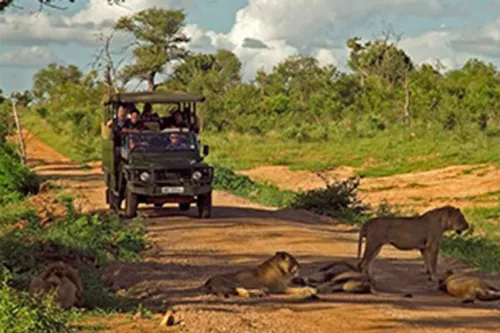 Embark on an Unforgettable Journey with Voyage2Africa’s Premium African Safari