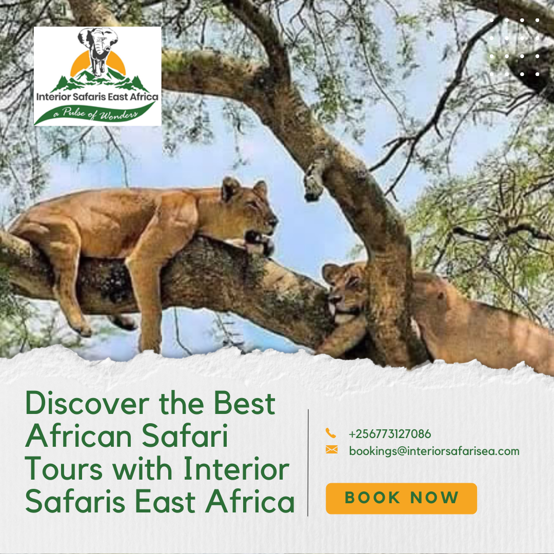 Embark on a Journey of a Lifetime with Our Exclusive Family African Safari Adventures