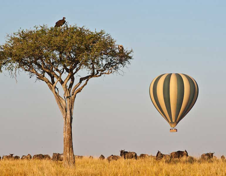 Embark on a Sky-High Adventure: Hot Air Balloon Safaris in Masai Mara with Drunken Elephant Mara