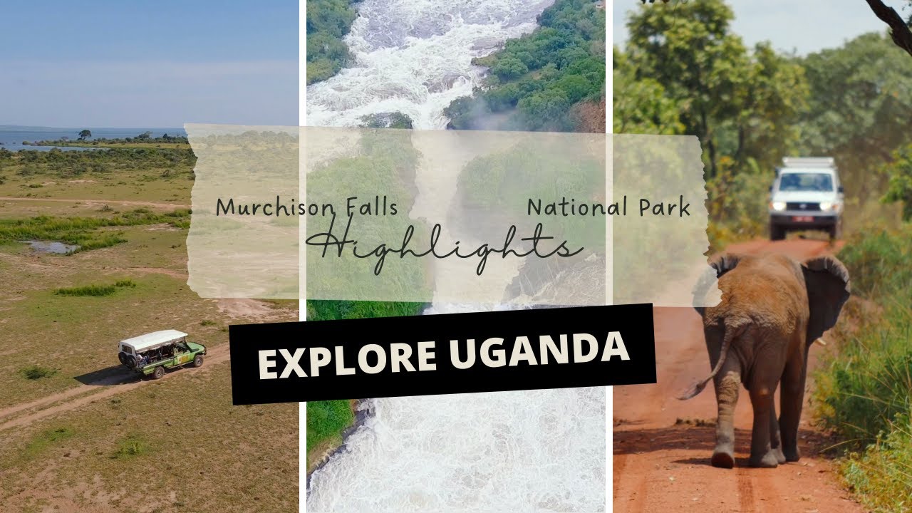 Explore Uganda’s Wildlife with Ndegeya Safaris and Support a Noble Cause