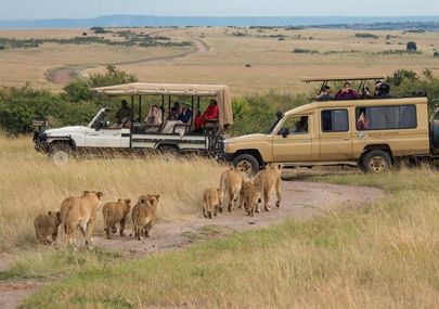 Chalema Tanzania Safaris Offers An Exclusive Safari Itinerary To Explore & Meet All Your Requirements