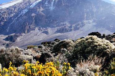 cultural-safari-and-mount-kilimanjaro-hike