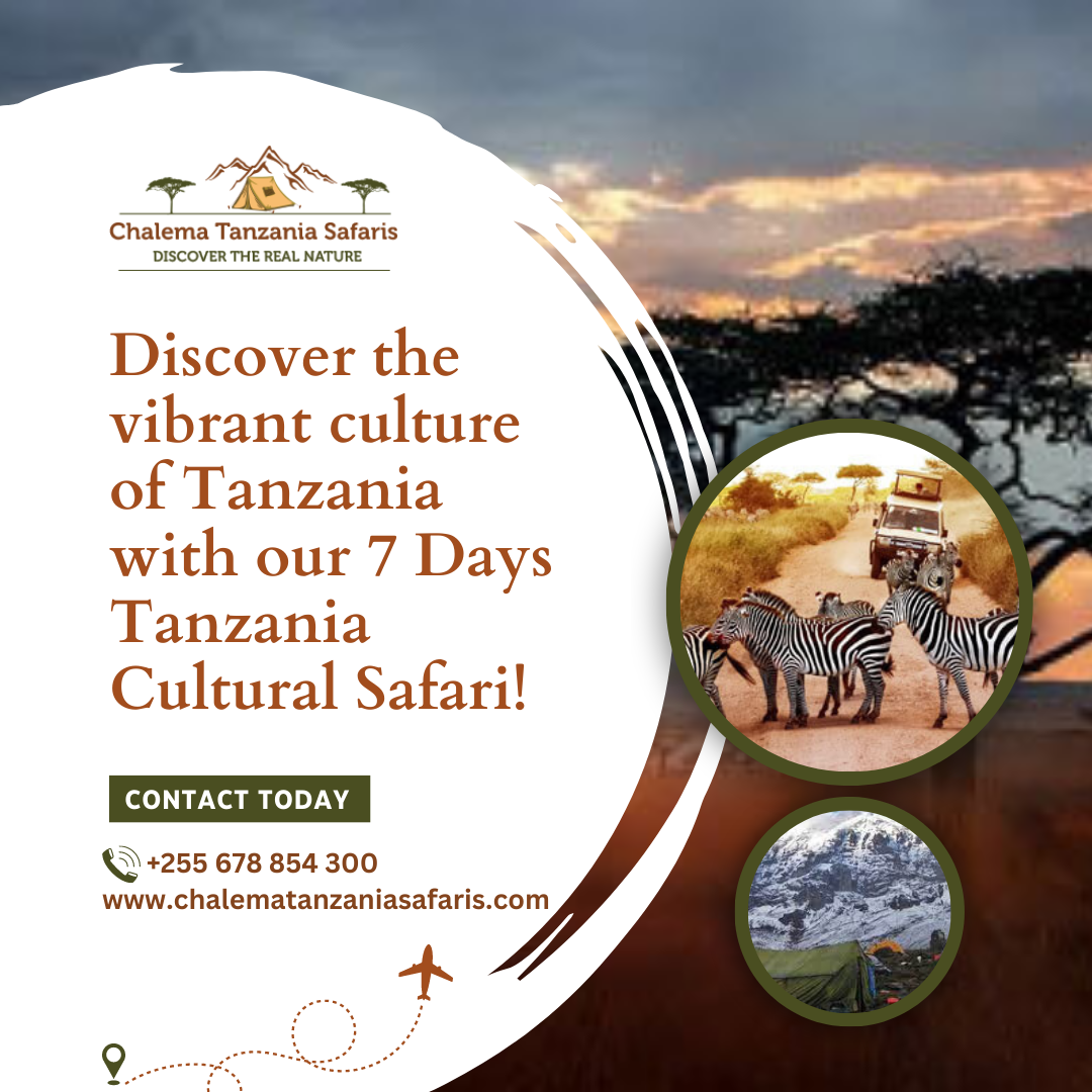 Embark on a Transformative 7 Days Tanzania Safari with Chalema Safaris